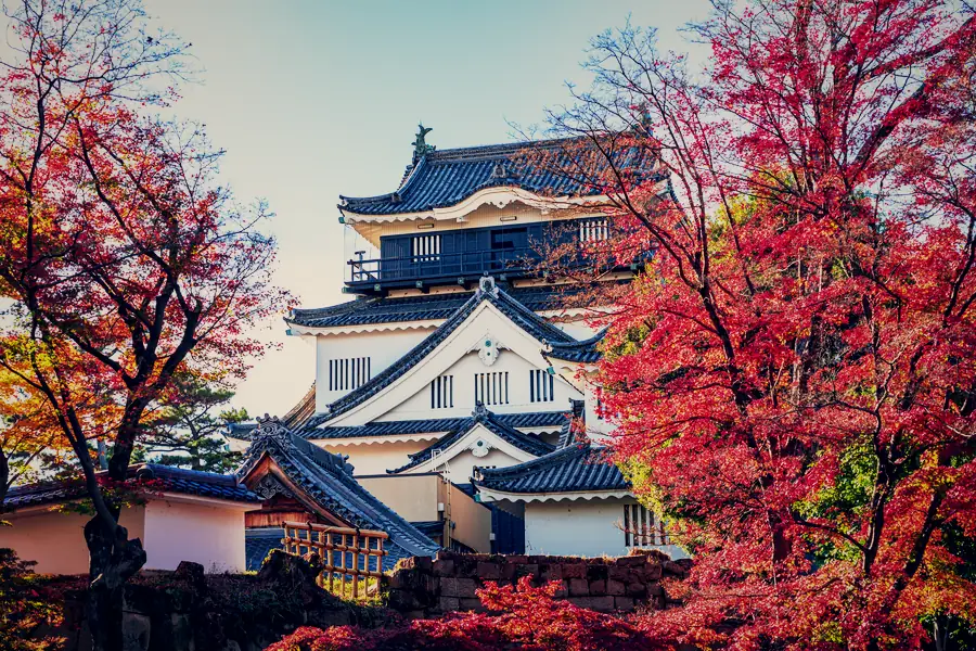 紅葉に囲まれた岡崎城の天守