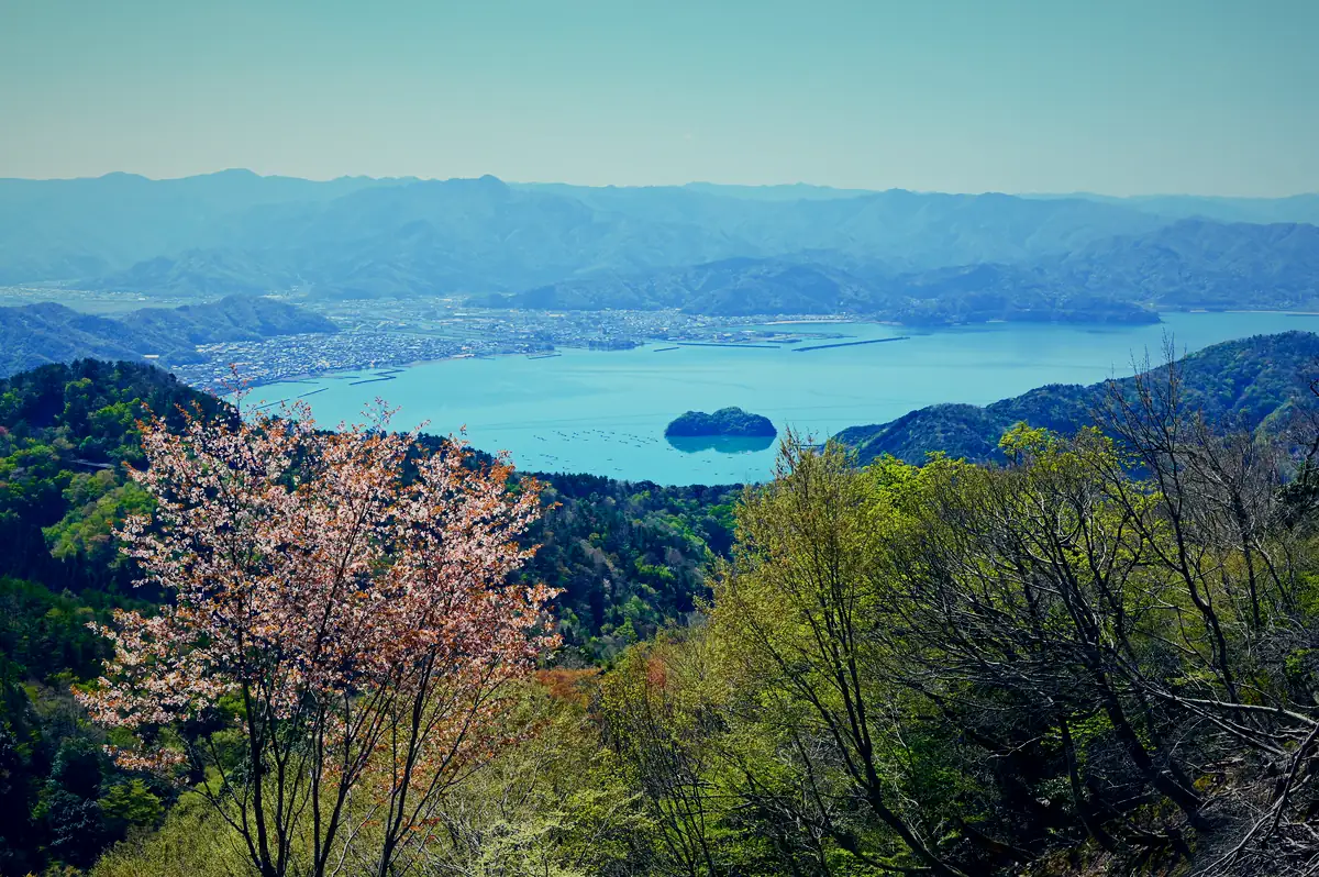 小浜湾の眺め