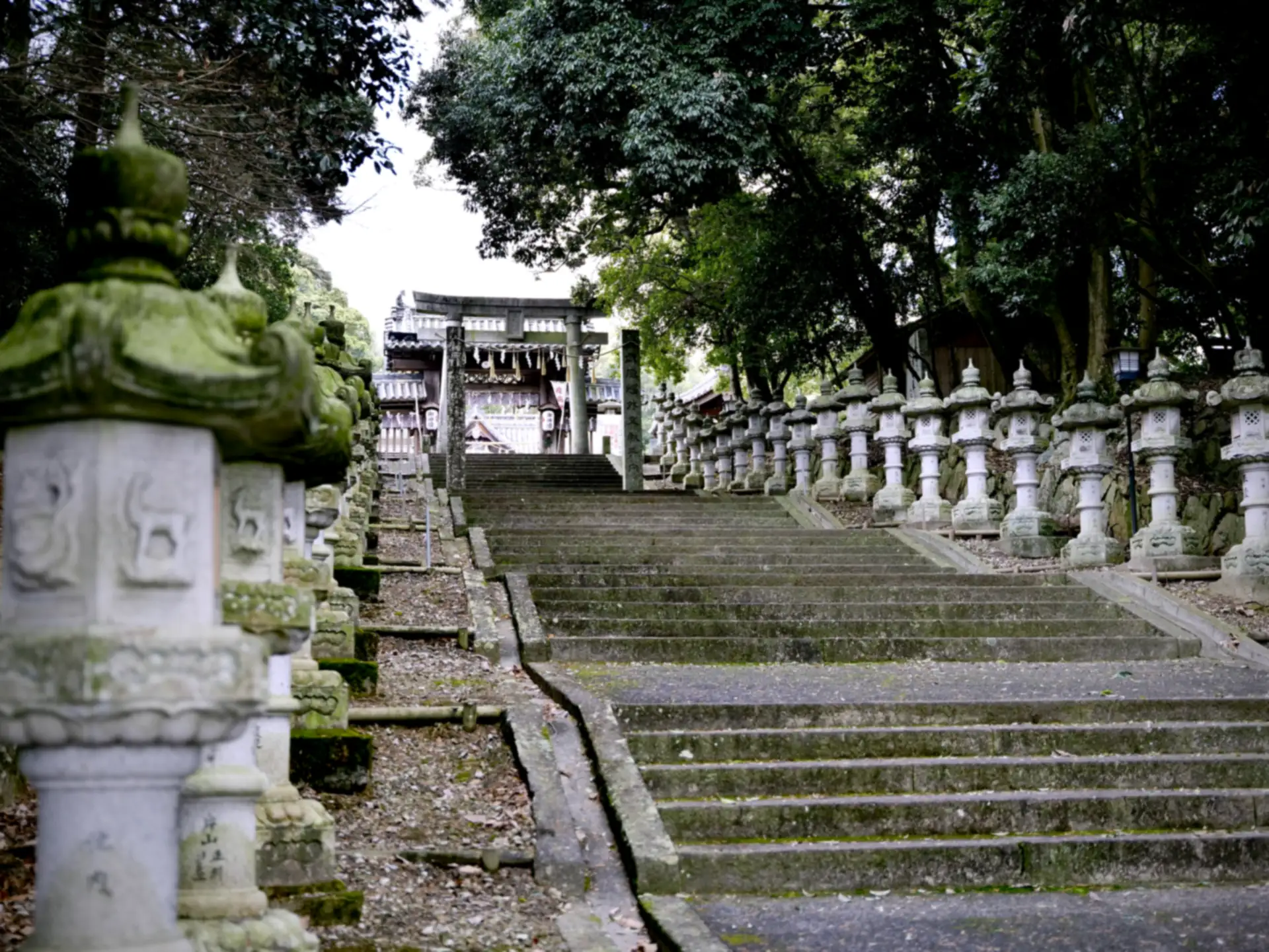 冠纓神社の参道。石灯籠の並ぶ石段。