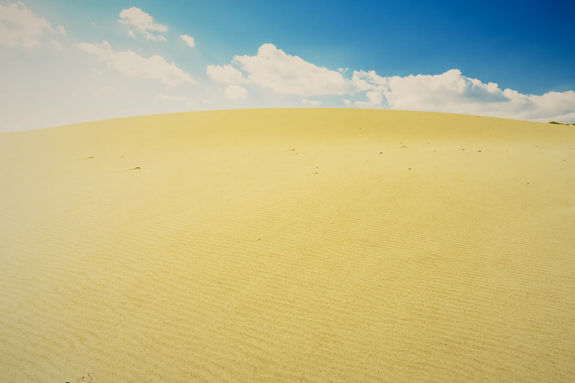 青空の下に広がる砂丘の砂紋