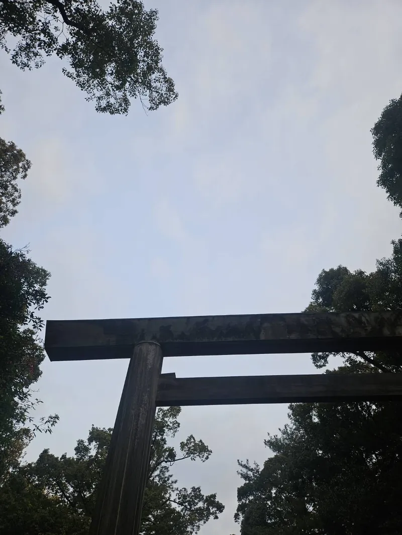 鳥居の笠木を真下から見上げた構図。青空と木立
