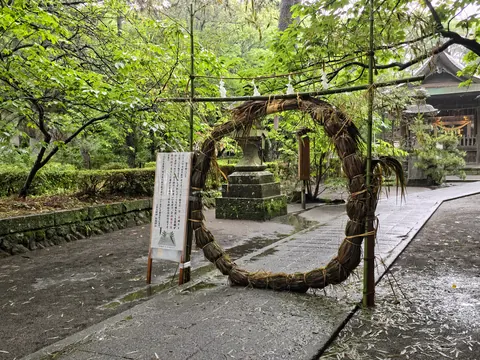 雨の参道に立つ茅の輪
